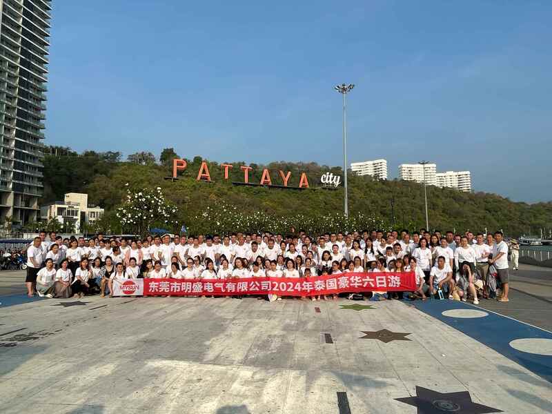 Çin Shenzhen Mysun Insulation Materials Co., Ltd. şirket Profili